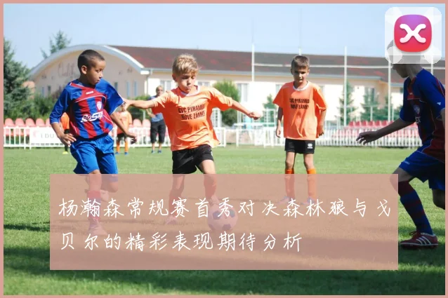 杨瀚森常规赛首秀对决森林狼与戈贝尔的精彩表现期待分析