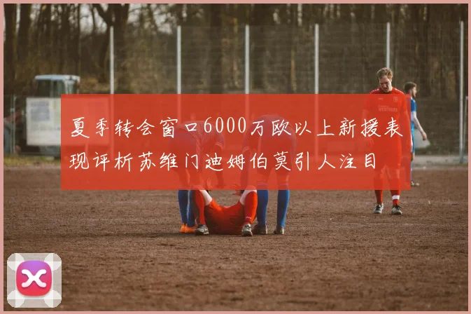 夏季转会窗口6000万欧以上新援表现评析苏维门迪姆伯莫引人注目