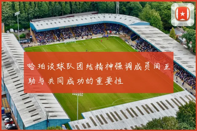 哈珀谈球队团结精神强调成员间互助与共同成功的重要性